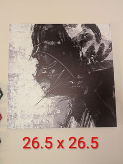 Darth Vader canvas print