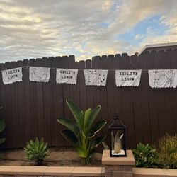 Cielito Lindo Party Banners