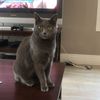 Gabriel