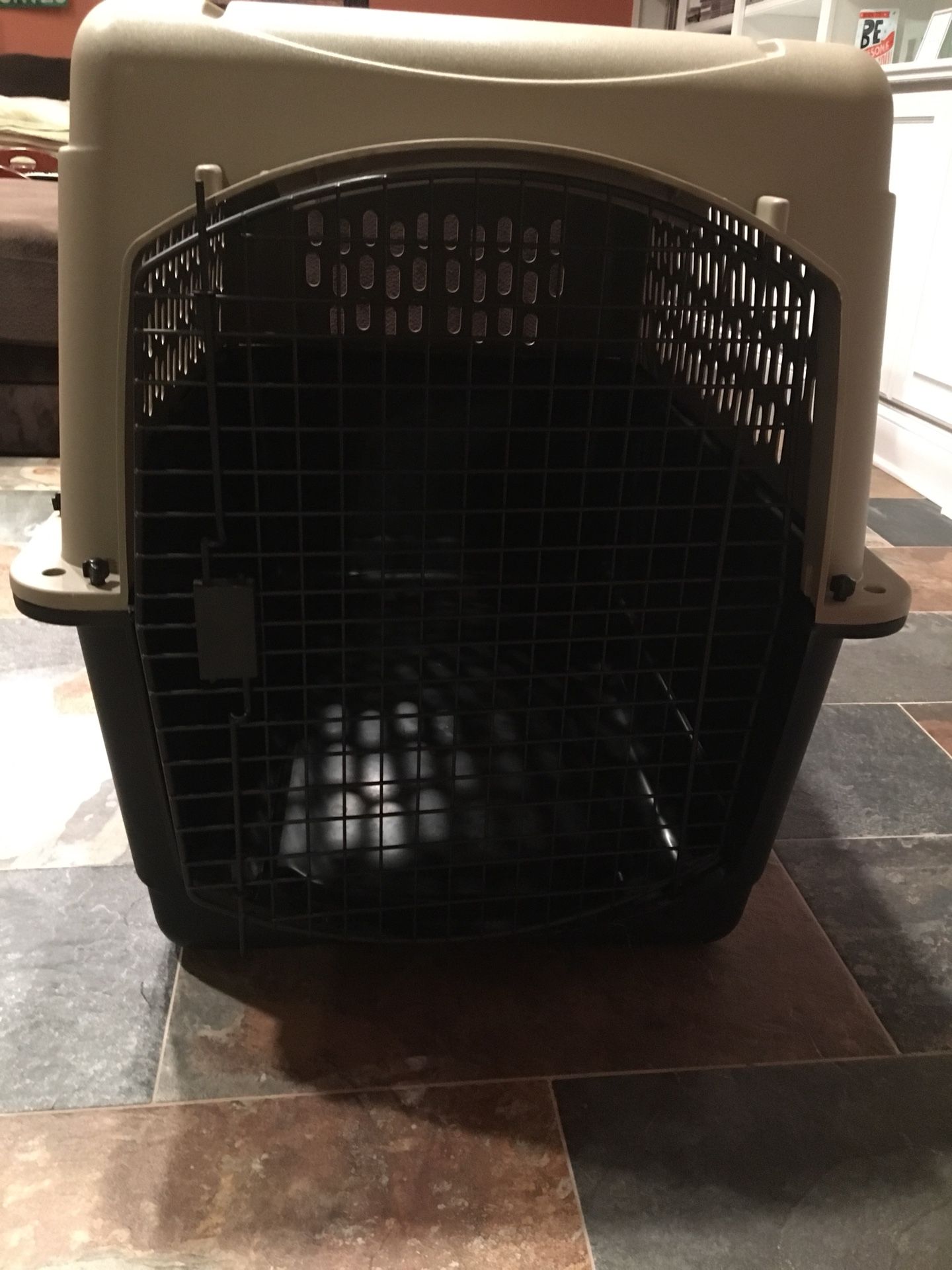 Great Choice XL (40 in) Dog Kennel.