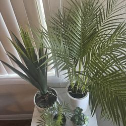 faux plants