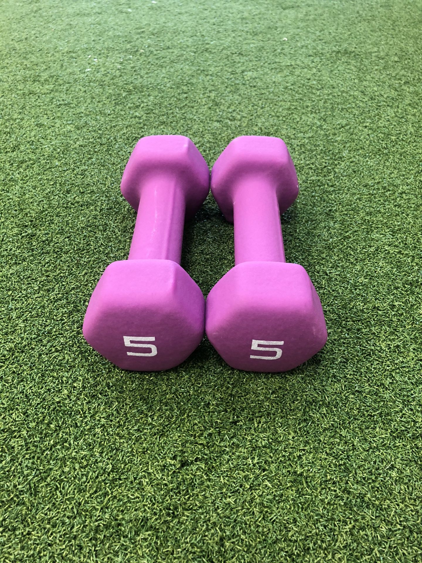 Dumbbell 💪🏻 Weights Set 5 lbs -Brand New!