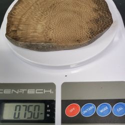 Charlevoix Stone Coaster Or Thick Slab