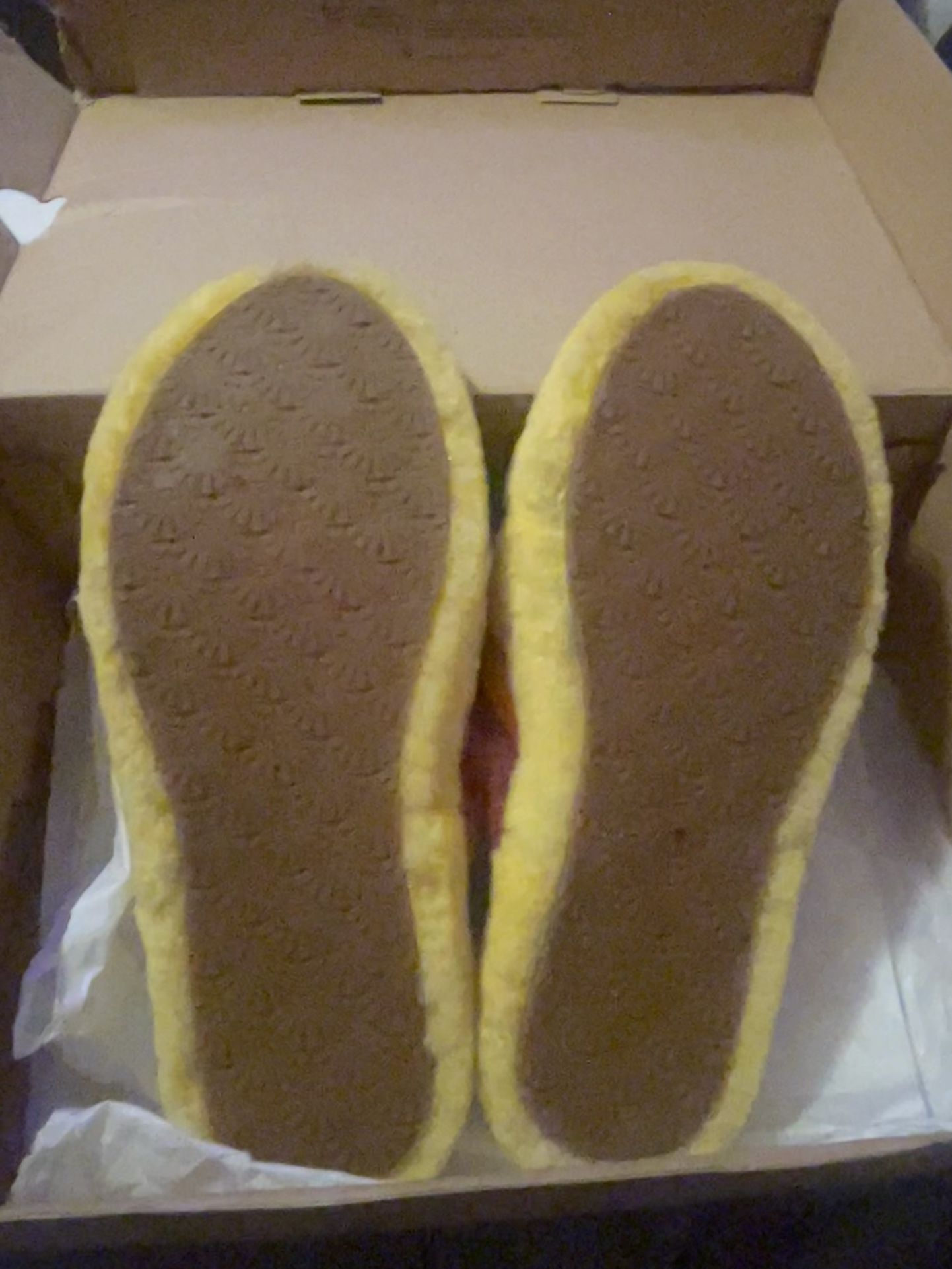 Female Ugg slides