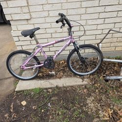 Girl Lilac Bike