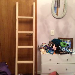 Ladder For Bunk Beds
