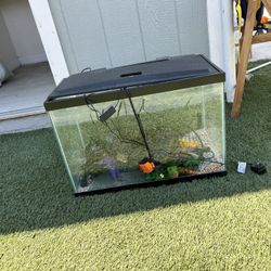10 Gallon Fish Tank 
