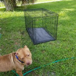 Dog Crate Cage XXL