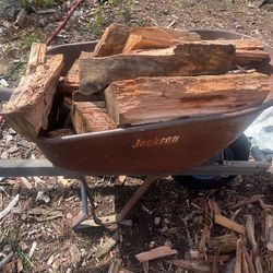 Dry Eucalyptus