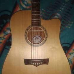 Peavey Electric-Acoustic Guitar 