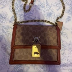 Coach Hutton Shoulder Bag in Signature Canvas with skull charm