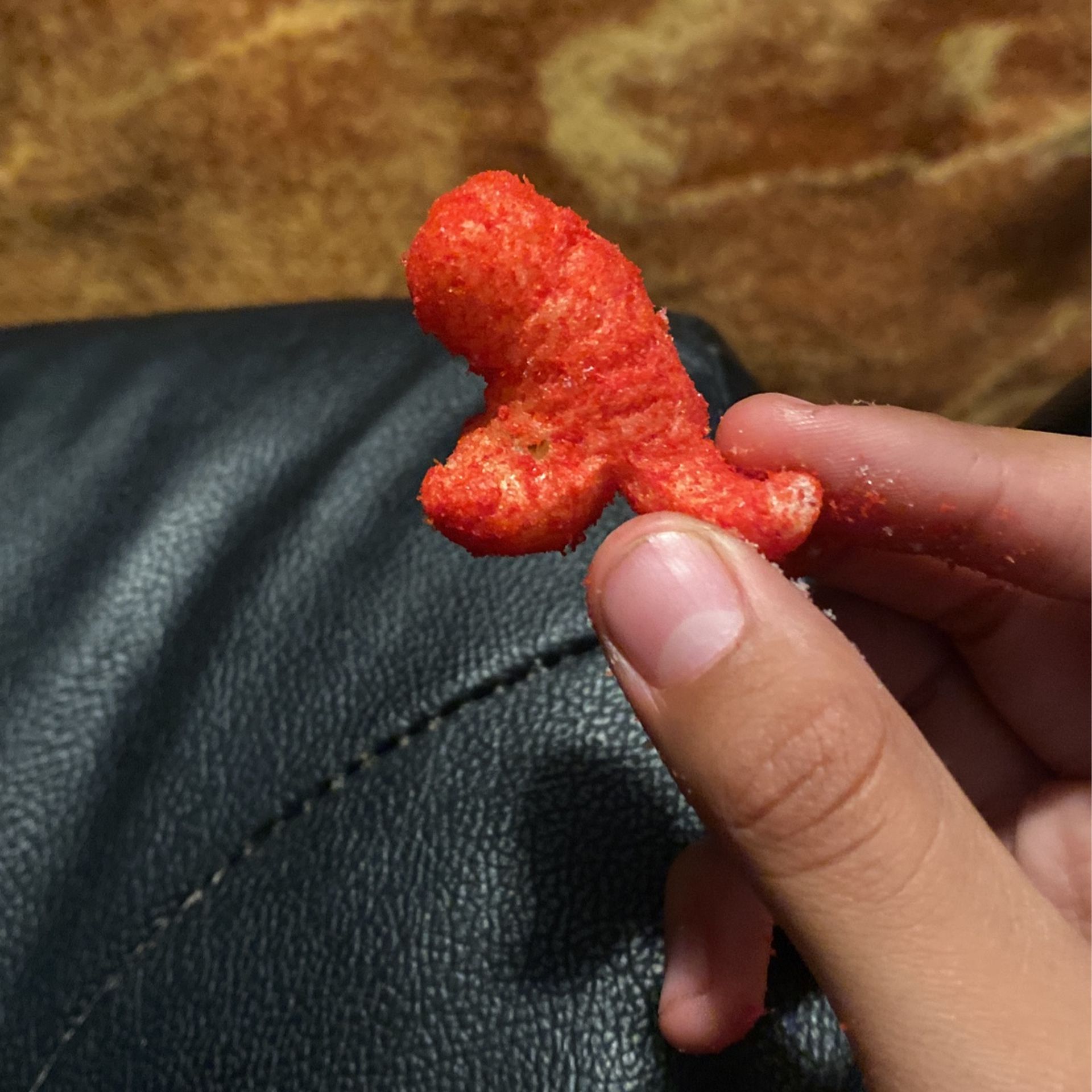 dog/ dinosaur shaped chip