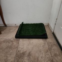 Dog Potty Place