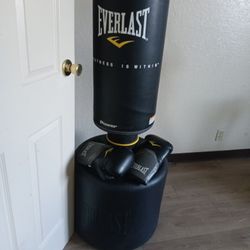 Everlast Punching Exercise It Comes With The Two Gloves