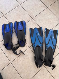 Flippers