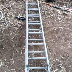 16 Ft Ladder Going Quick