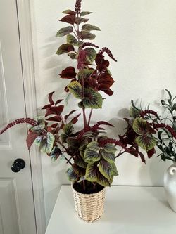 Decor