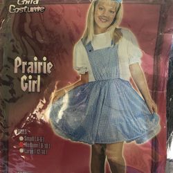 Wizard of Oz costume- Dorothy costume