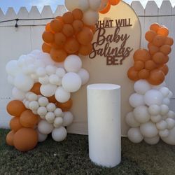 Baby Shower/ Gender Reveal 