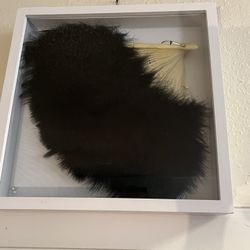 Ostrich Fan