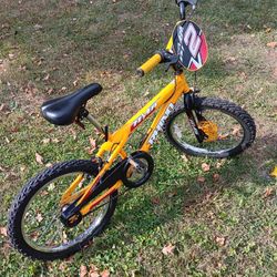 20" Boys..."Rhino" Bike