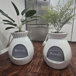 Cat Odorless Litter Box Plant