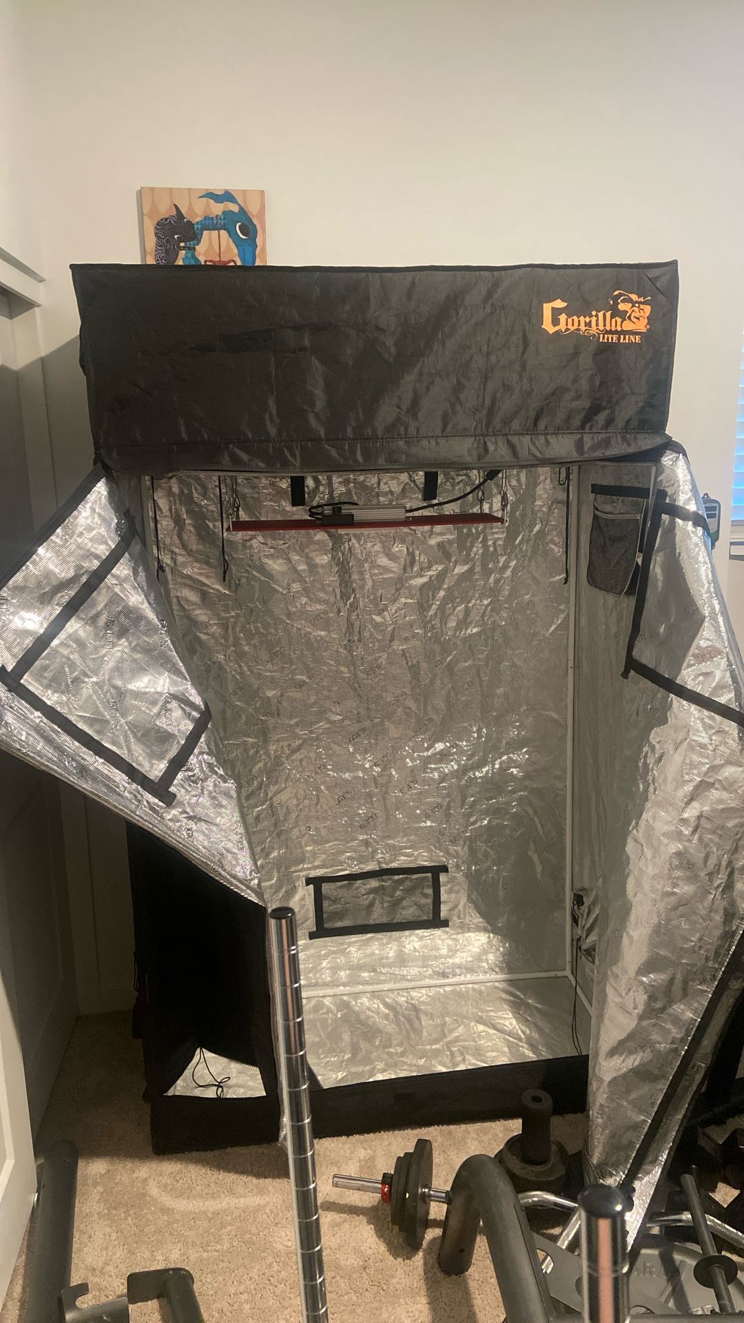 Gorilla Grow Tent Set Up