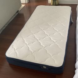 NEW Serta Calming Haven 9.5” Medium Euro Top Mattress