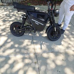 Roadrunner Pro Electric Bike 