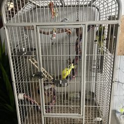 4 Birds In Big Heavy Duty Cage 