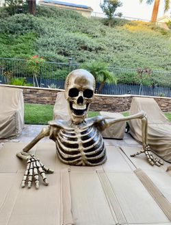 Skeleton