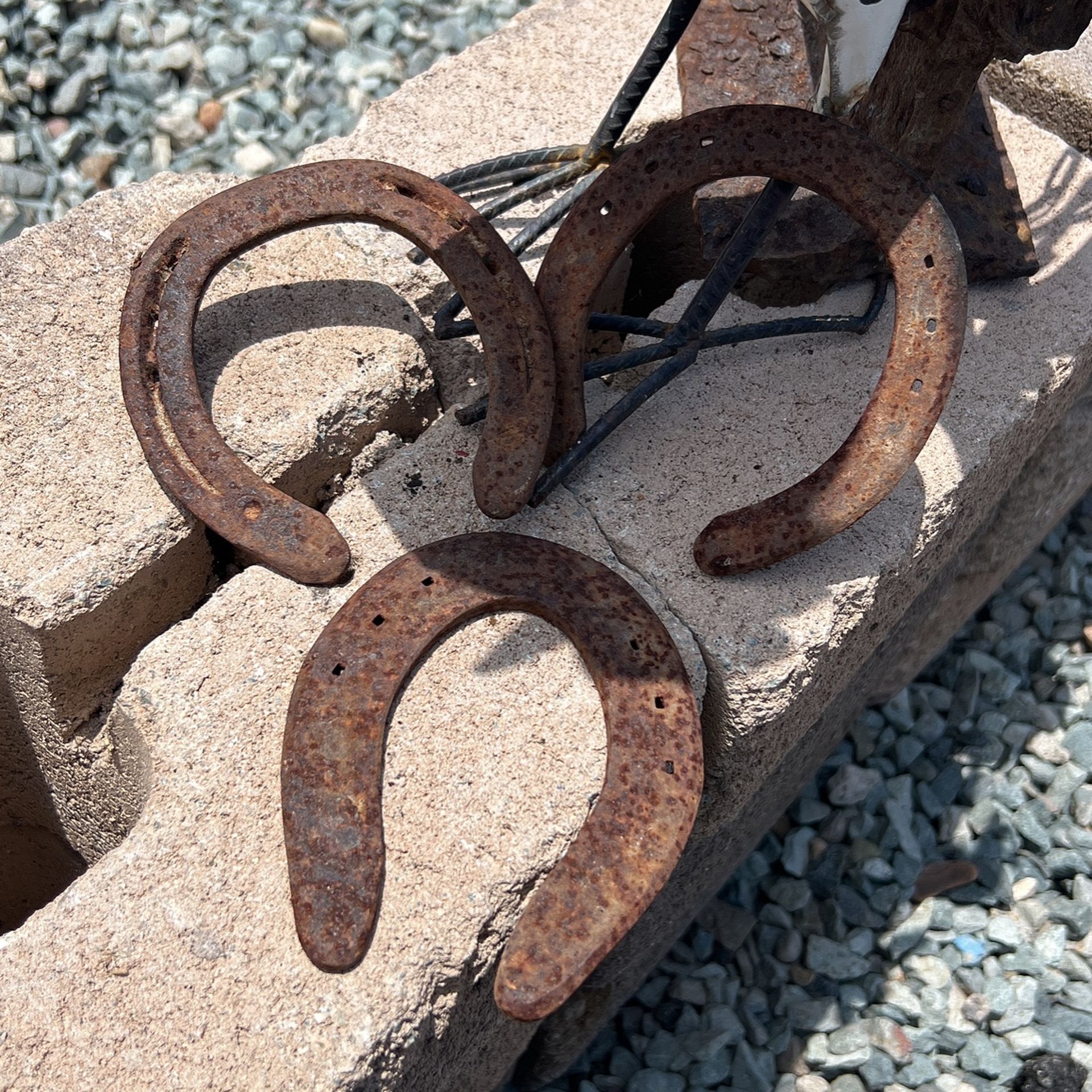 Rustic Real Horse Shoes (10) All Together