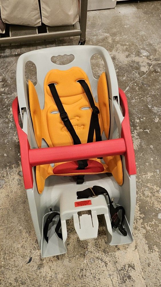 Copilot Child Carrier