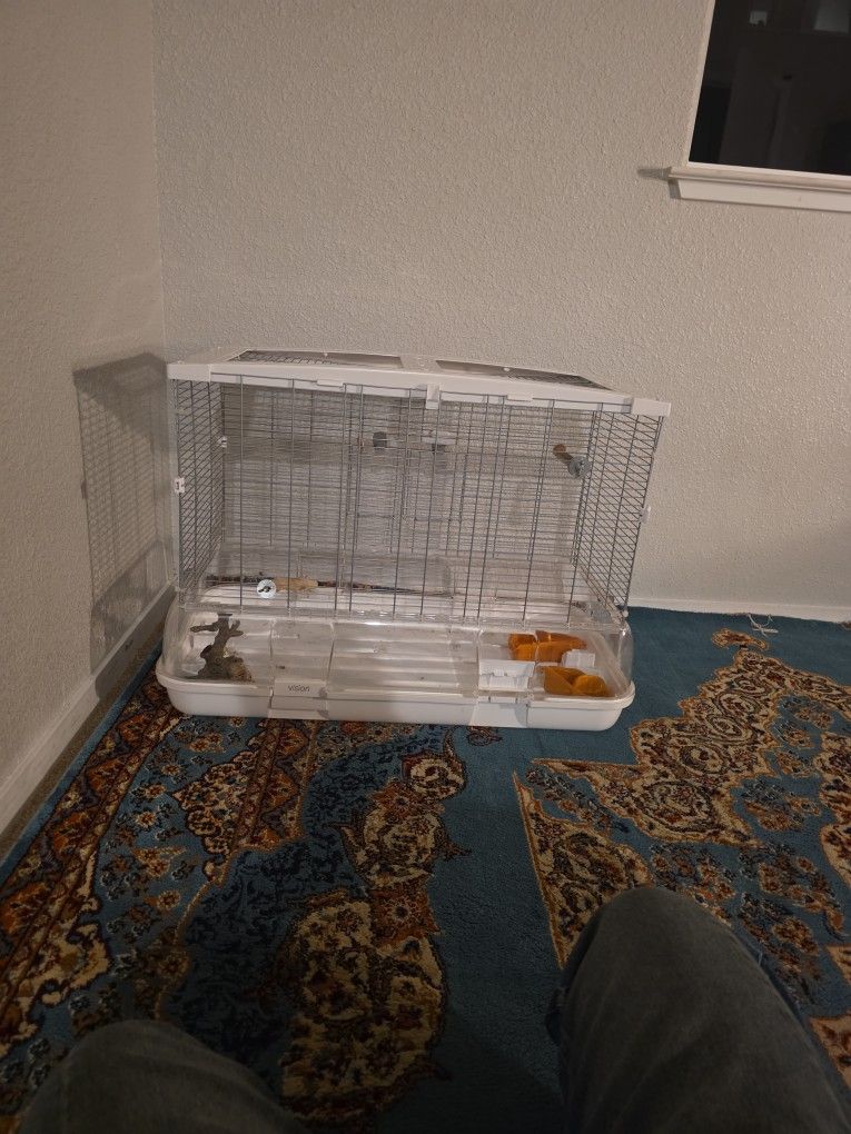 A Bird Cage