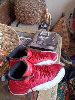 Nike Air Jordan 12