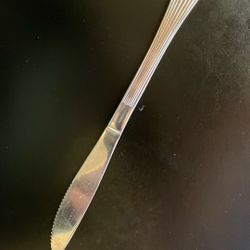 250 Stainless Steel Dinner Knife.  