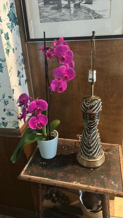 Midcentury lamp