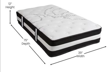 Two Twin Mattresses