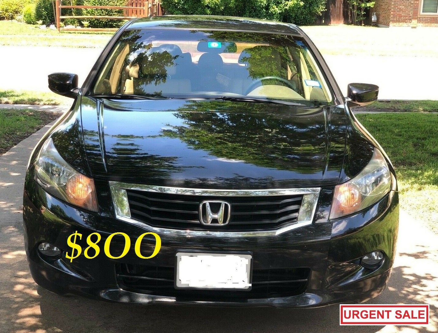 ๐๐$8OO URGENTLY I sell my family car 2OO9 Honda Accord EX-L Everything is working great! Runs great and fun to drive.๐๐