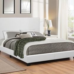 New Queen Bedframe Box Spring Not requured 