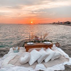 PICNICS