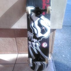 Tony Hawk Falcon Birdhouse