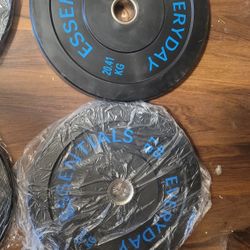 45 Lb Plates 