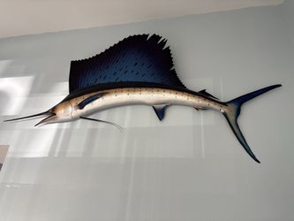 Sailfish