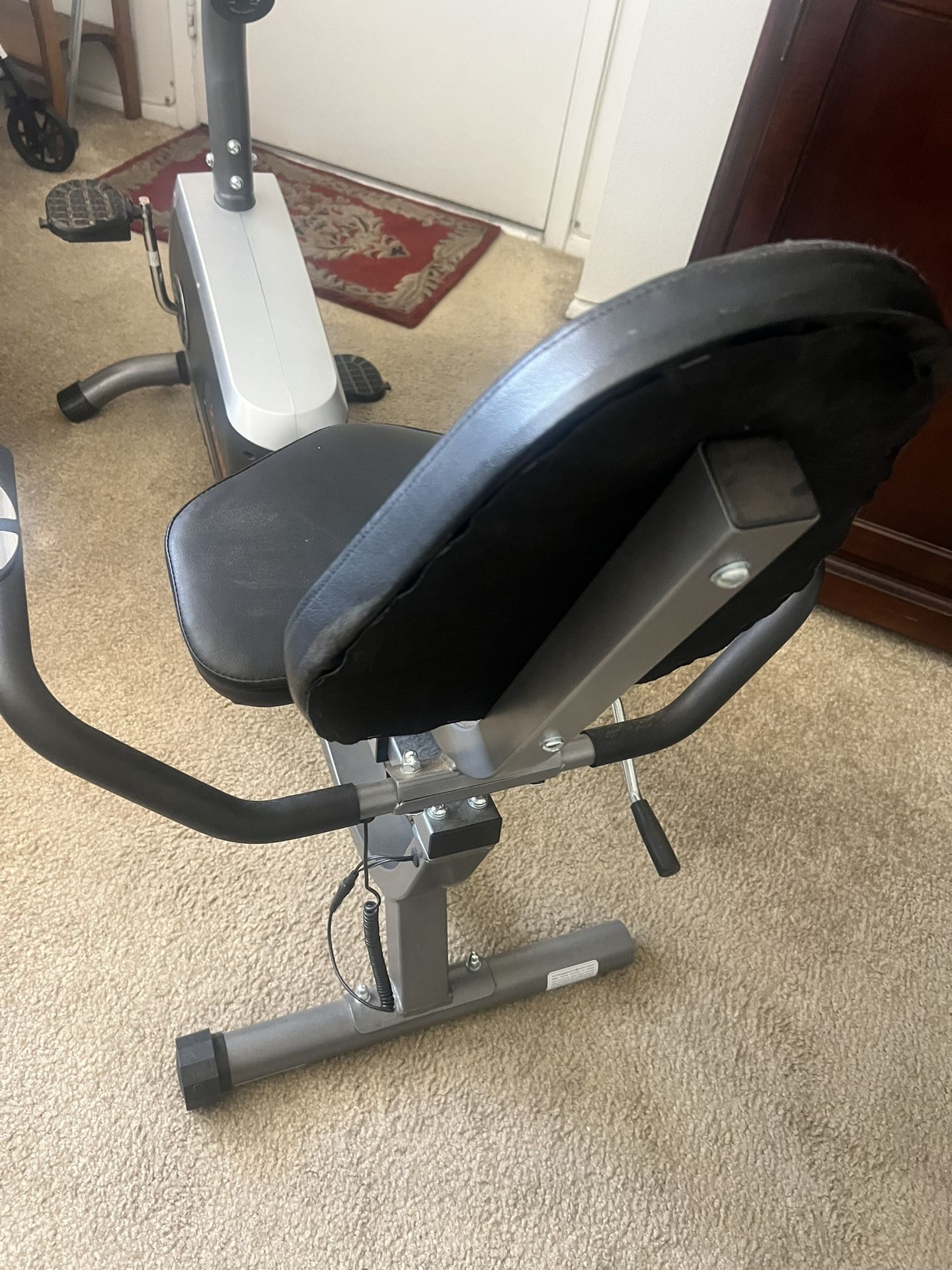 Sunny Exercise Bike