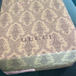 Brand New GG Pythons
