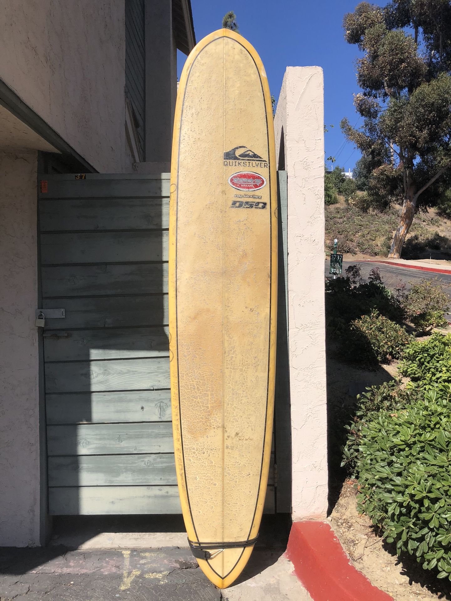 Roy Sanchez Surfboard