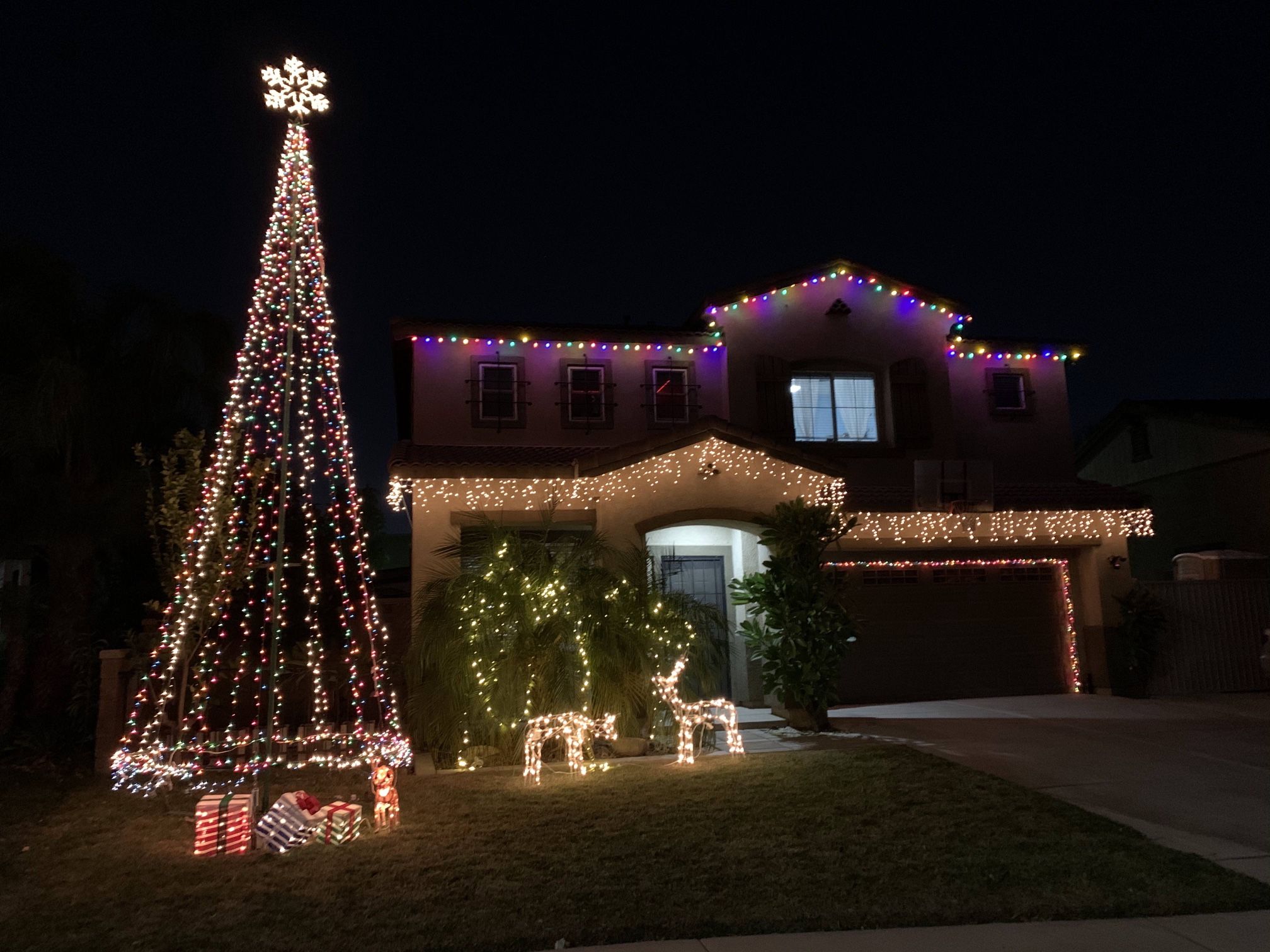 Outdoor Christmas Tree 20 Foot