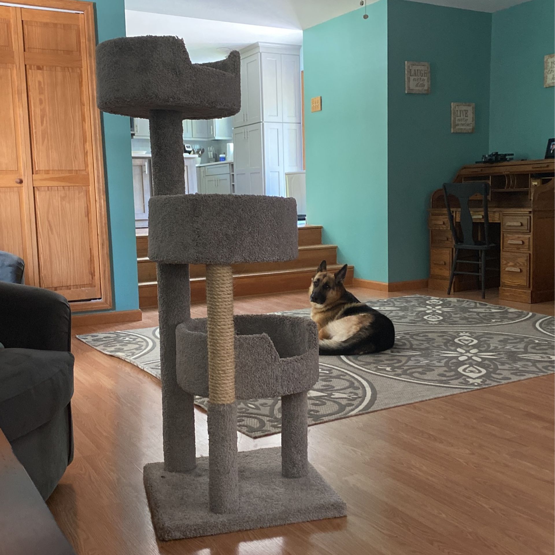 Cat Tree