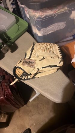 Rawlings 12 inch softball glove